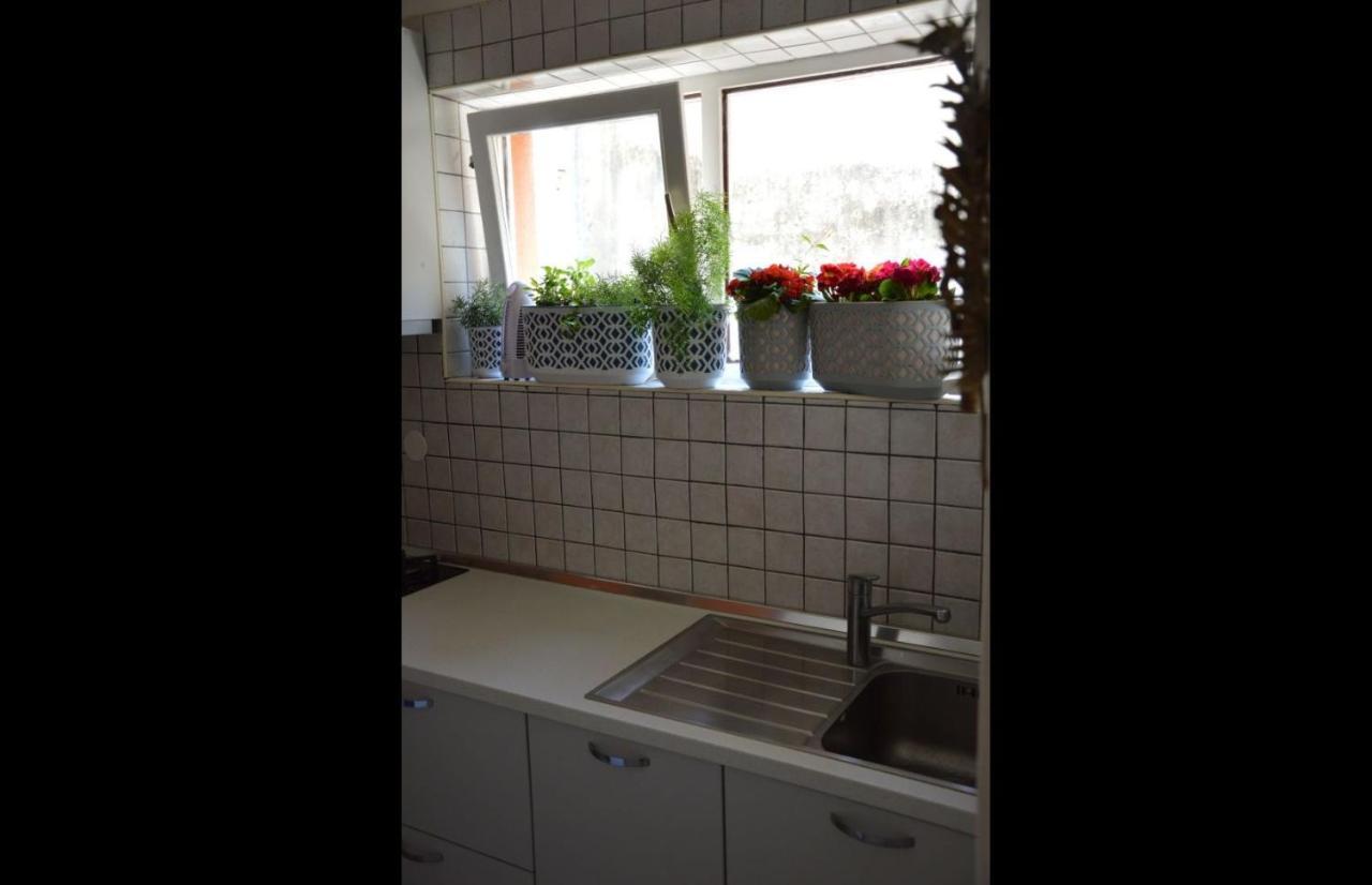 Apartmán Diadora Zadar Exteriér fotografie